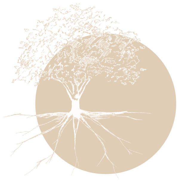 Illustration arbre de vie
