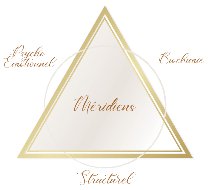 Illustration triangle de la santé