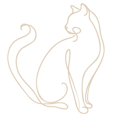 Illustration kinésiologie animale chat