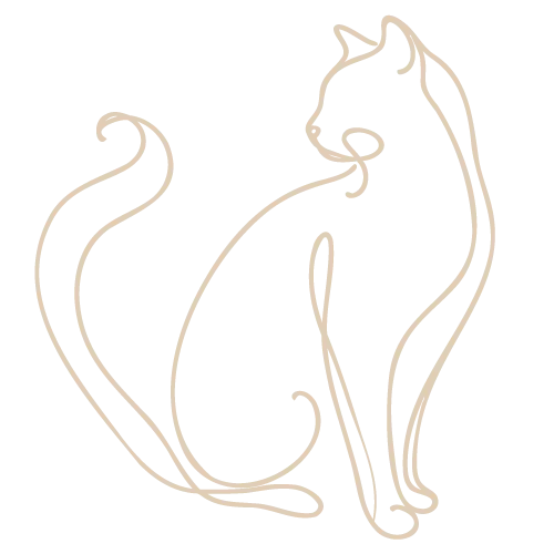 Illustration kinésiologie animale chat